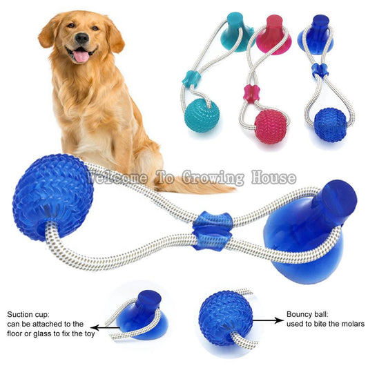 Interactive fun Pet toy with suction cup dog push toy with TPR ball Pet Tooth Cleaning,Chewing,Playing, IQ Treat Ball Puppy Toys